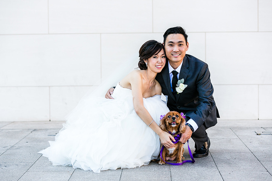 9-westin-south-coast-plaza-wedding-by-aevitas-weddings-flower-pup