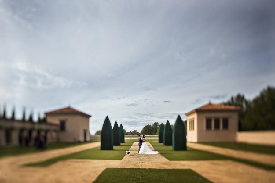 23 Pelican Hill Wedding by D Park Photography Portraits
