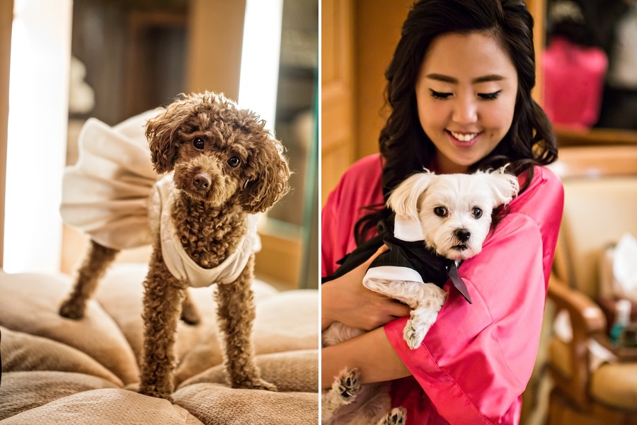 5 Pelican Hill Wedding by D Park Photography B