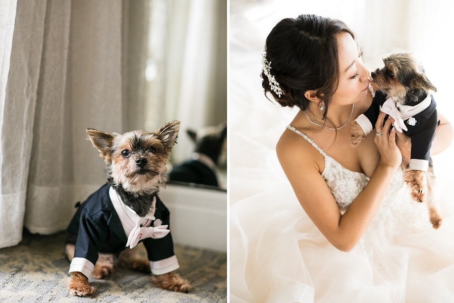 12a Ritz Carlton Laguna Niguel Wedding by Sarah Mack Photograpy