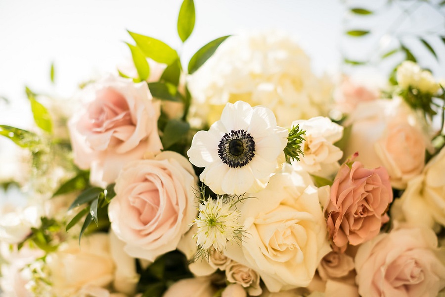23 Ritz Carlton Laguna Niguel Wedding by Sarah Mack Photograpy Ceremony Details