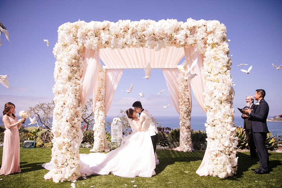 35 Ritz Carlton Laguna Niguel Wedding by Lin and Jirsa Dove Release