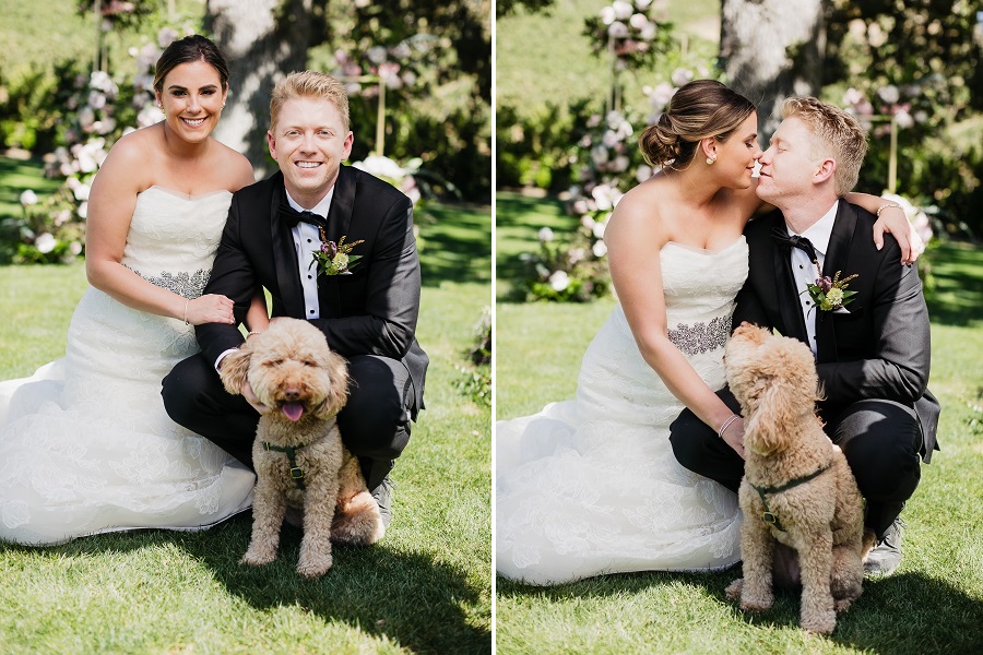 15 Triunfo Creek Vineyard Wedding by Sarah Mack Photography Flower Pup