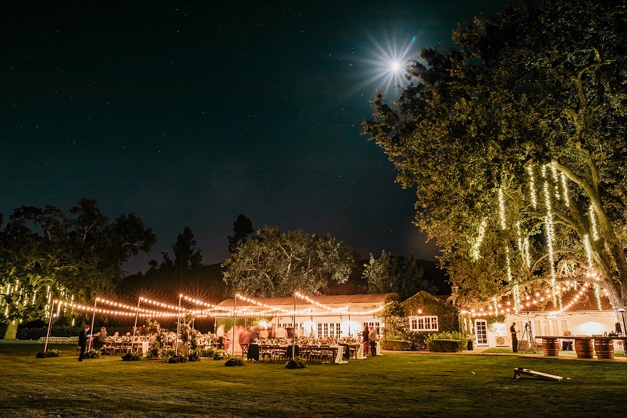 52 Triunfo Creek Vineyard Wedding by Sarah Mack Photography Reception